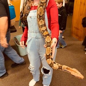 Meet your Posher, Corin